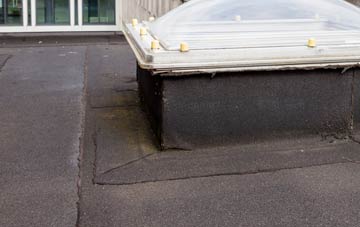 disadvantages of Forest Green flat roofs