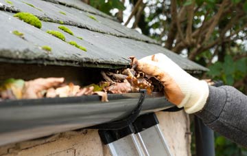 gutter cleaning Forest Green